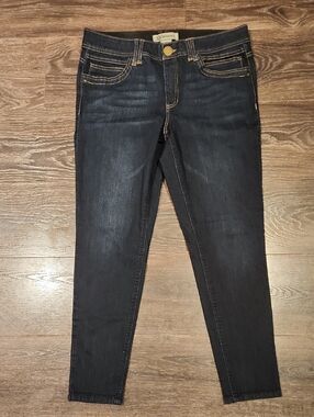 ❤️ DEMOCRACY "AB"TECHNOLOGY SKINNY JEANS, 12 (31)